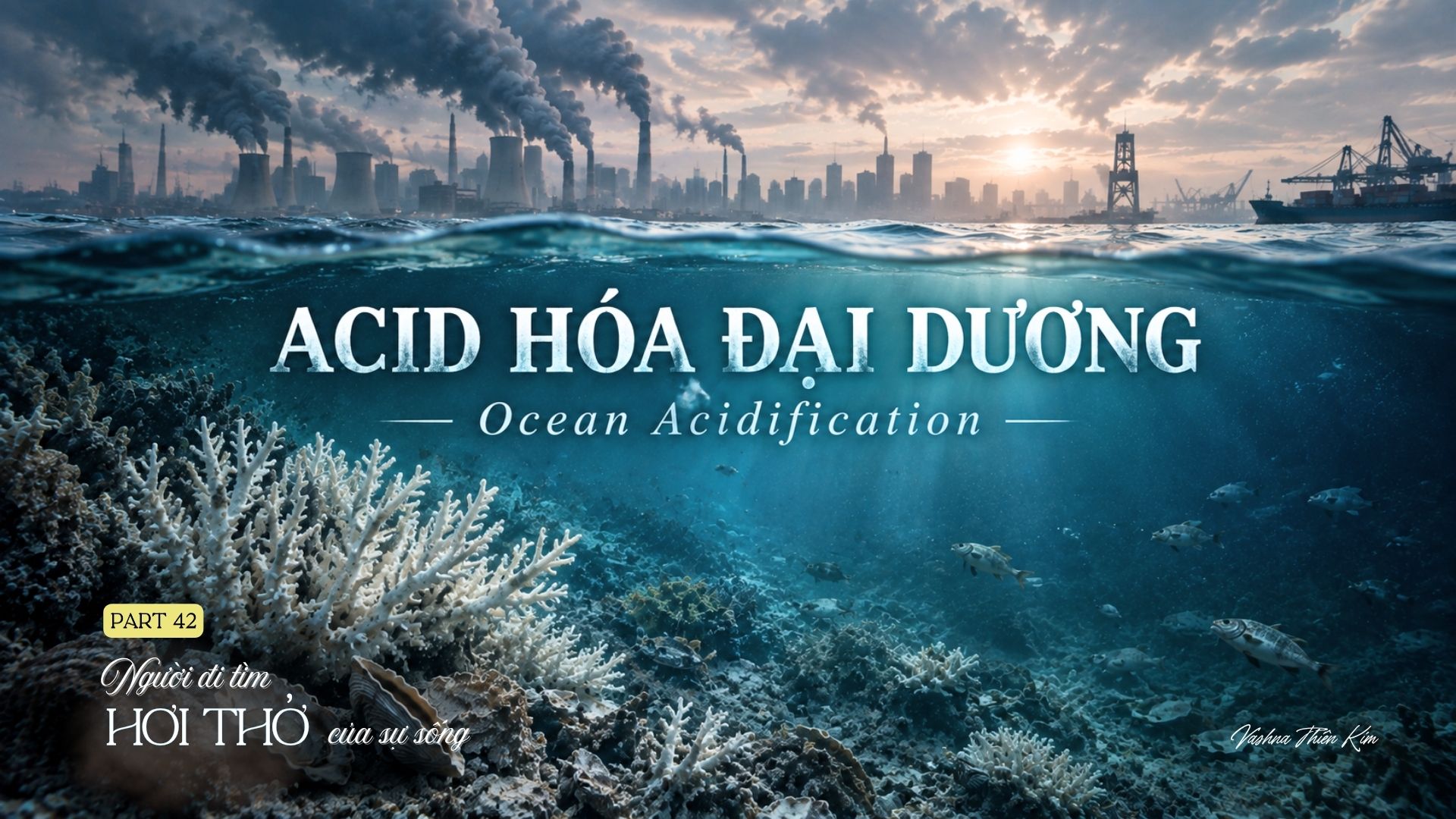 Tập 42: AXIT HÓA ĐẠI DƯƠNG - Người Đi Tìm Hơi Thở Của Sự Sống